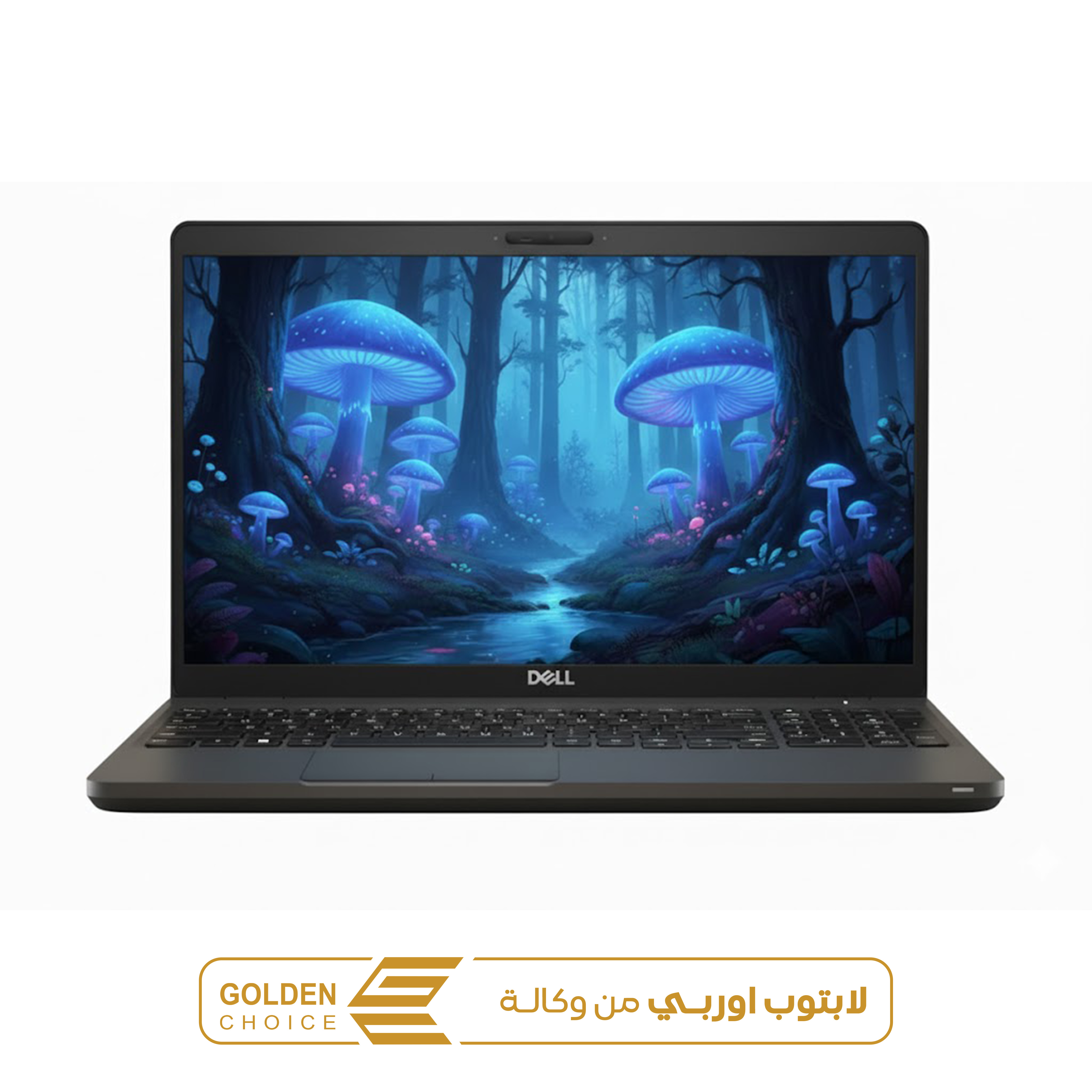 DELL 3530 CI5/8TH 8 512SSD 4G NIV P600